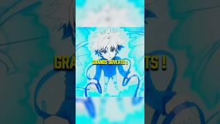 Ne Jamais Crier Victoire Trop Vite Hunter X Hunter