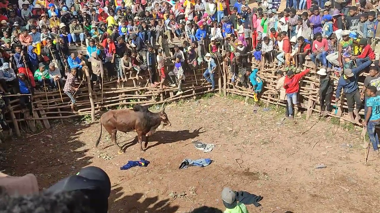 savika Fahizay 25 juin 2022