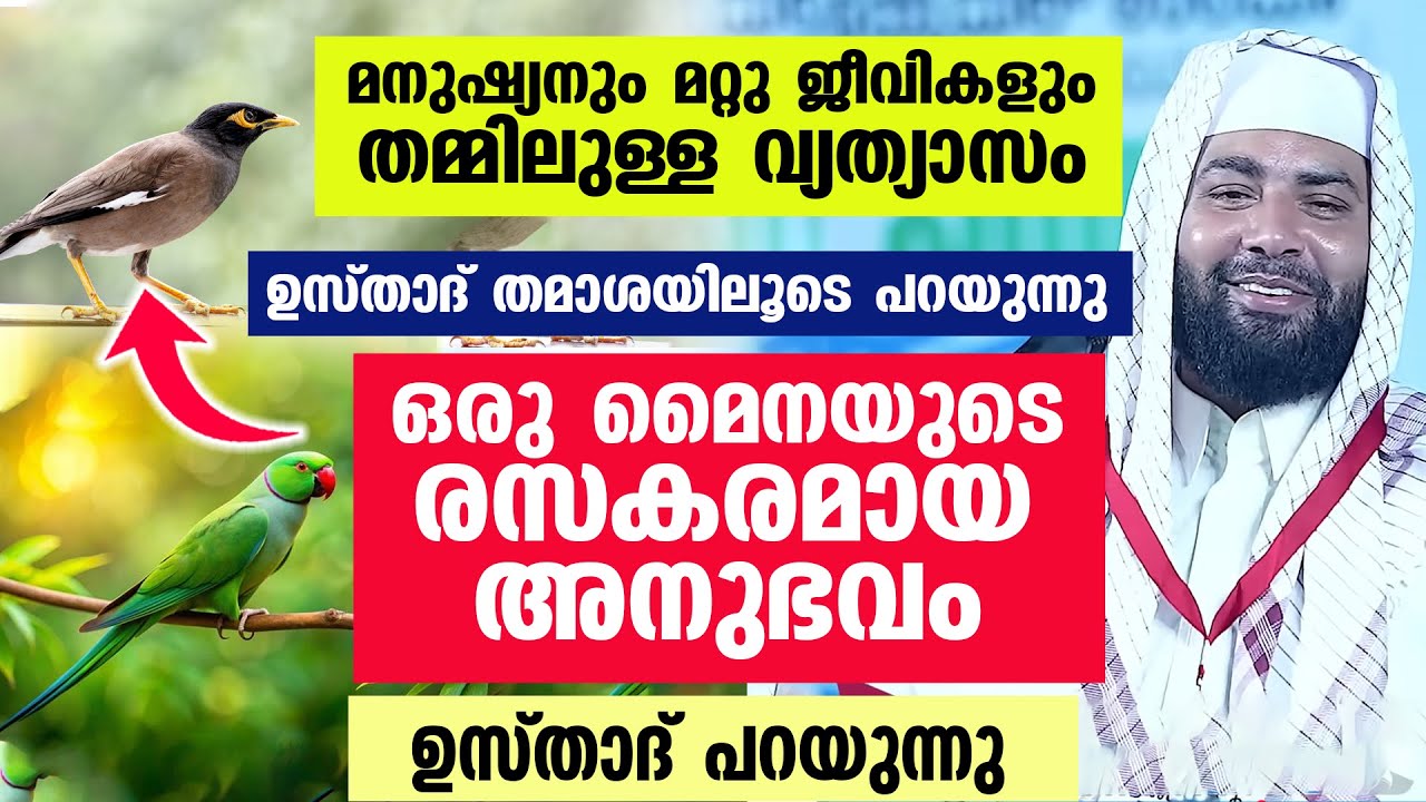 മനുഷ്യനും  ജീവികളും തമ്മിലുള്ള വ്യത്യാസം  പറയുന്നു . മൈനയുടെ രസകരമായ അനുഭവം പറഞ്ഞത് ഉസ്താദ്
