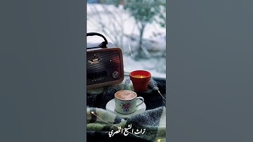 أَفَرَأَيْتَ الَّذِي كَفَرَ بِآيَاتِنَا وَقَالَ لَأُوتَيَنَّ مَالًا وَوَلَدًا (77) سورة مريم.#الحصري