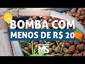 Faça uma BOMBA D