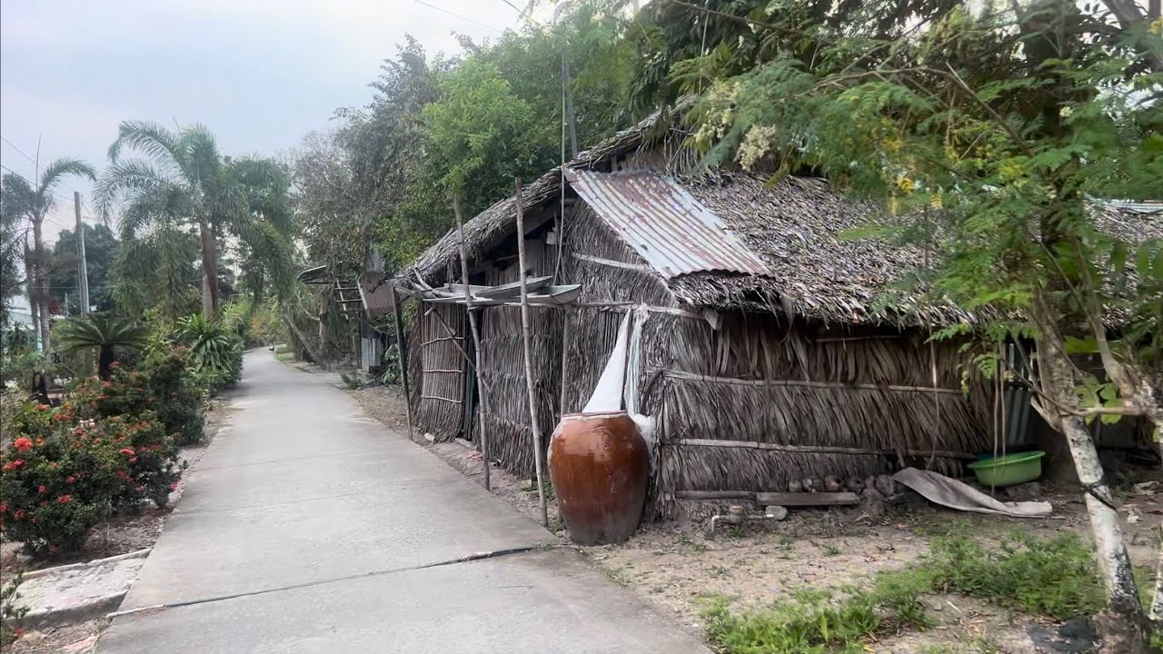 Khám Phá Vùng Quê Ngày Cặn Tết. Bất Ngờ Lạc Vào Đường Hóc Bà Tó, Không Lộ Hai Bên Là Ruộng Đồng.