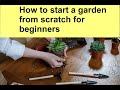 How to start a garden from scratch for beginners
