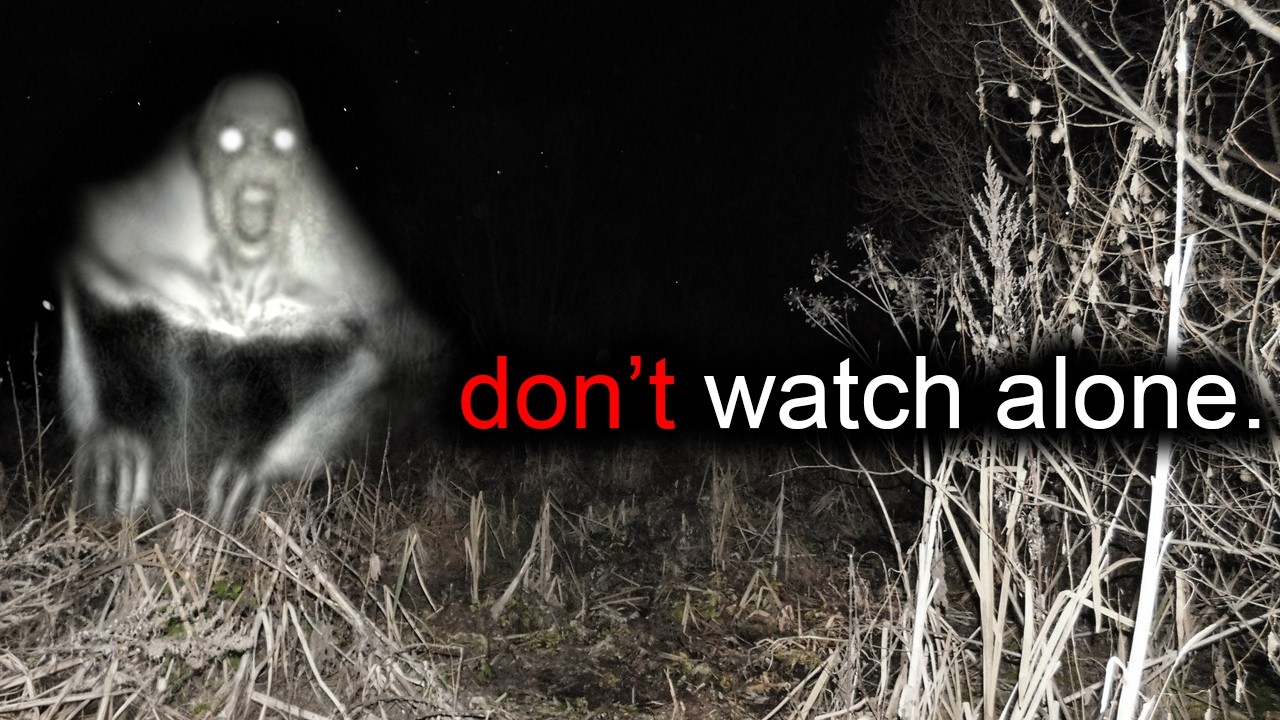SCARY Camping Encounters That Will PUSH YOU INTO MADNESS!