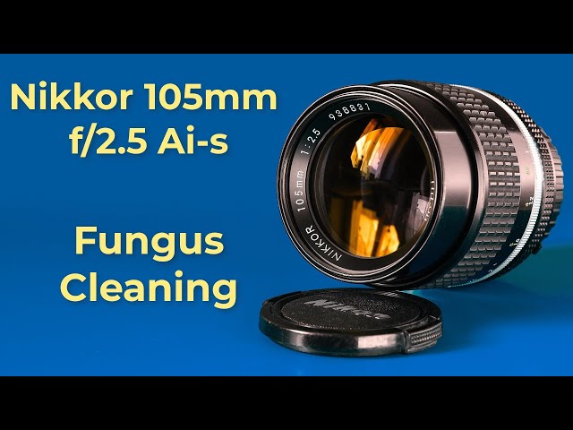 Nikon 105mm f/2.5 : fungus cleaning : Lens repair - YouTube