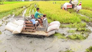 QUAY CẢNH MÁY CẮT KUBOTA DC70 LỘI ĐẤT NƯỚC DẺO KHỔI NÓI VỚI MÁY BINH