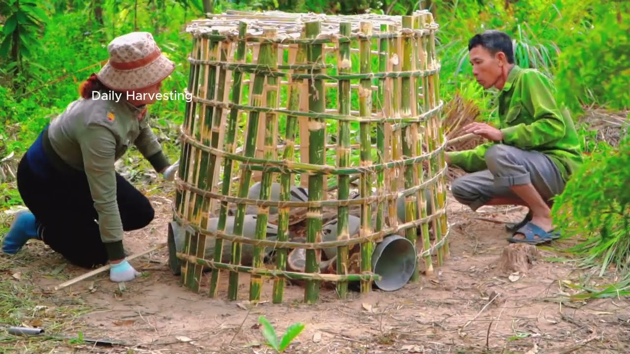 Harvesting Over 1000 Python Eggs: Ninhos Gigantes Na Quinta & Frente a Porcos-Espinho 🐍🥚🦔