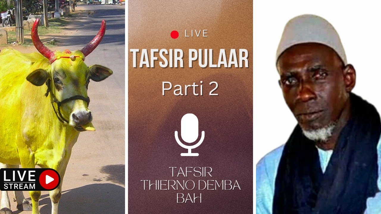 Ɓen heeferɓe cuɗinanaama ɗam nguurdam aduna - Tafsir Thierno Demba Bah