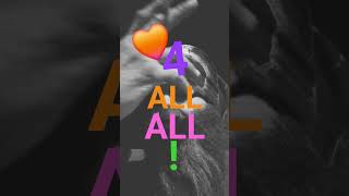 Wwg1Wga Figure It Out