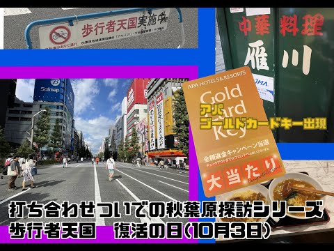 9 Akihabara Exploration Series: Combining Business with Pleasure - The Return of the Pedestrian P...