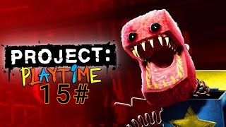 Project playtime 15#