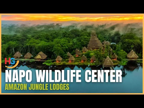Amazon Napo Wildlife Center Lodge | Amazon Jungle Lodges
