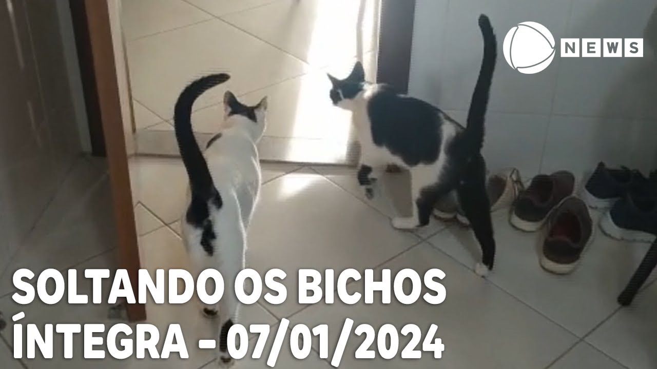 Soltando os Bichos – 07/01/2024