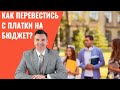 Как перевестись с платки на бюджет?