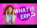 What is ERP?