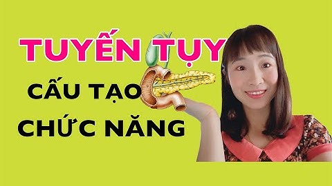 Tuyến tụy nằm ở đâu trong cơ thể