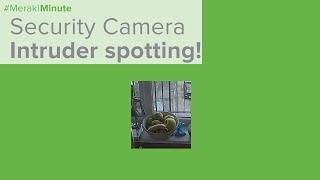 Security Camera - Intruder spotting (in a very simple and easy way!) screenshot 1
