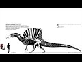 Spinosaurus Aegyptiacus Skeletal Review