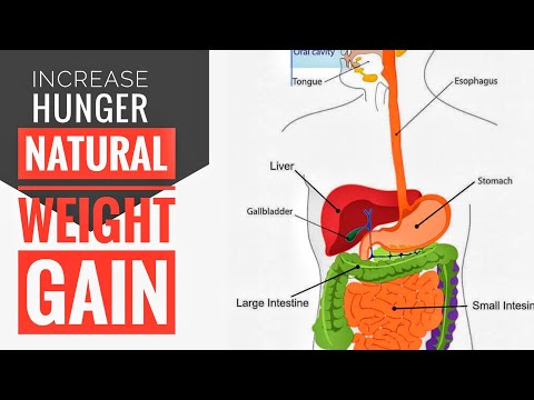 How to Gain Weight Easy / Improve Hunger — video thumbnail