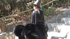 Halloween Writing Prompt