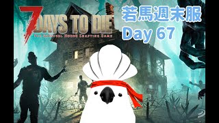 【 七日殺 聯動場 】若馬週末服 Day67 若馬神社！ 工作台？探險台？