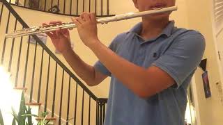 “Bob-Omb Battlefield” from Super Mario 64 (flute) 💣