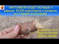 КАРТОФЕЛЬ будет БОЛЬШЕ и РАНЬШЕ  если подготовите и посадите картошку таким способом