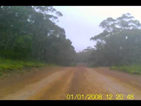 Kuitpo Forest Rally SS 12