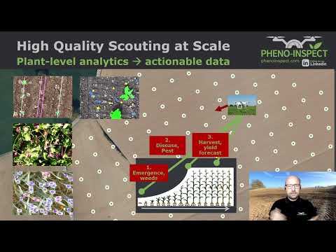 Philipp Lottes - Pheno-Inspect: Digital experts for plant analysis