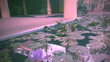 Soba Lanka Holiday Resort