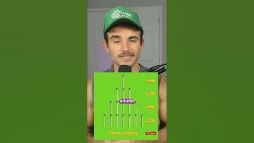 I Played The First Video Game