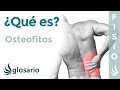 OSTEOFITOS | Qué es, qué afecta, síntomas, signos clínicos, causas y tratamiento fisioterapéutico