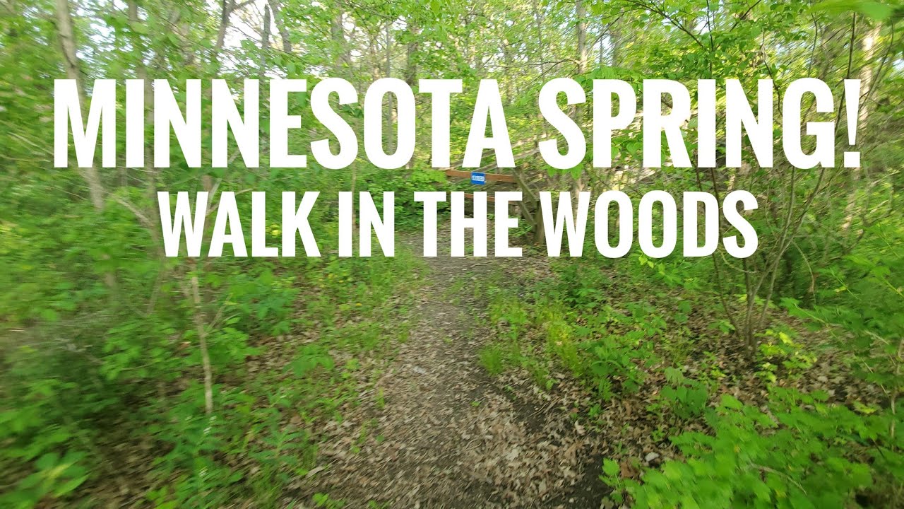 Minnesota Spring Pathway Minnesota Spring! A nice walk in the woods together. 2024. 267 - YouTube