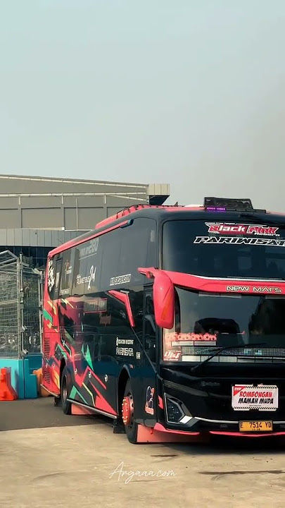 Story'WA bus TUNGGAL JAYA BLACK PINK mboiss 30 detik