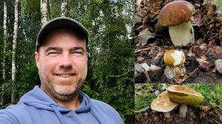 MORE JUNE BOLETUS! 12/06/26 MORE JUNE BOLETUS! 12/06/26