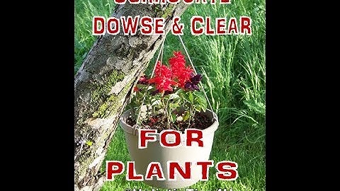 Dowsing for Plants