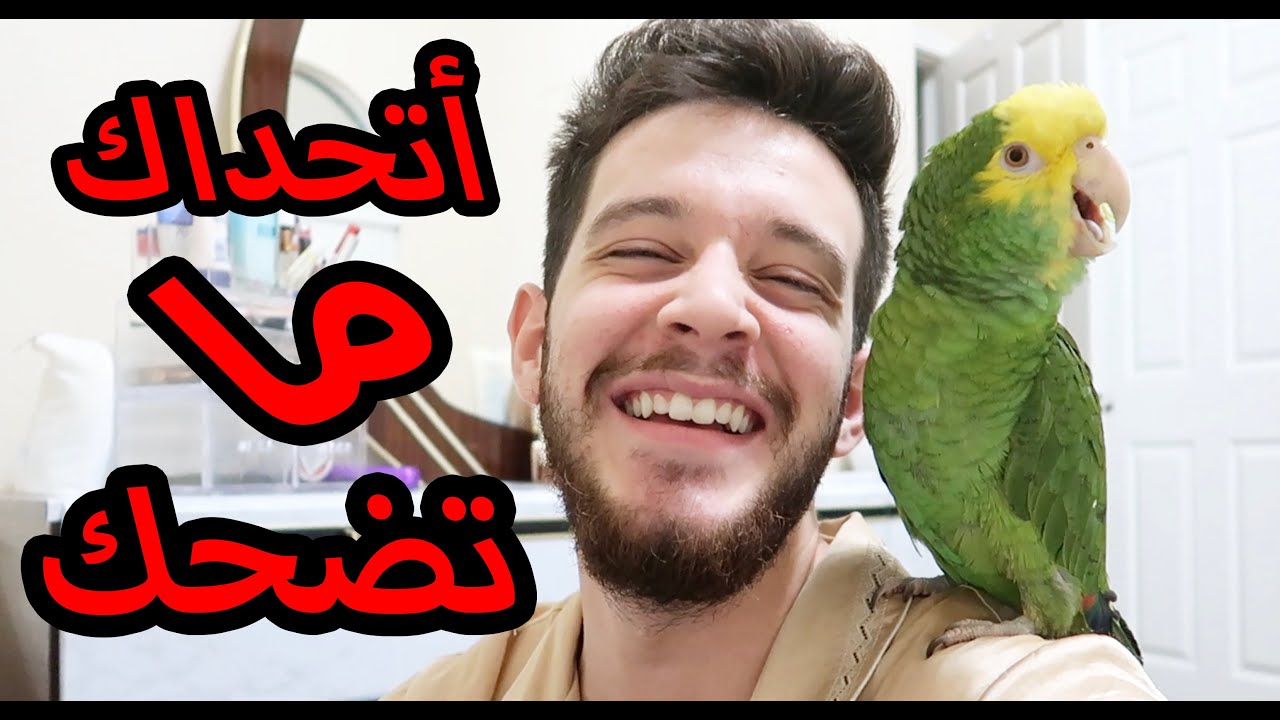 اذا ميزو ما خلاك تضحك فلوسك مرجوعة !! 