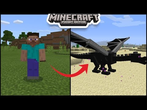 How to tame ender dragon in minecraft pe 0.17.0  how 