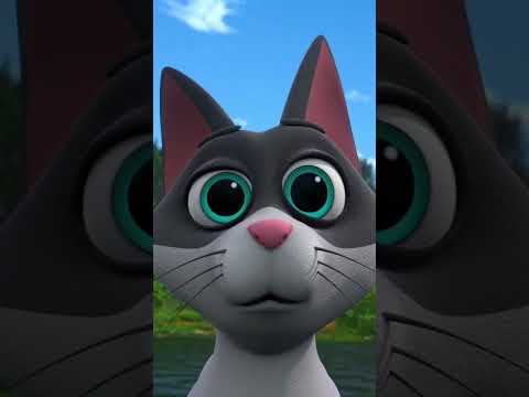 Видео: Бедный котик 