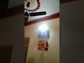 New. fan in. hall