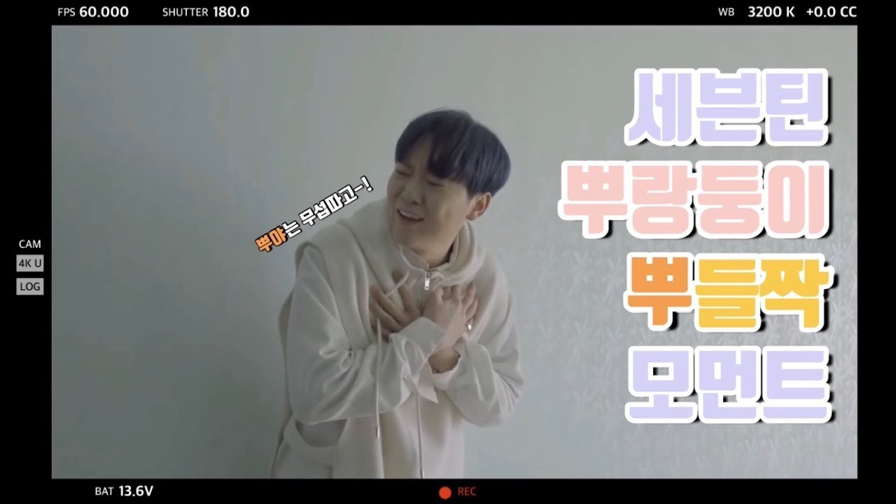 [17'S 승관] 세븐틴 부쁜이 뿌랑둥이 부승관의 뿌들짝 모먼트