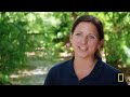 Florida Panther (Full Episode) | Secrets of the Zoo: Tampa | Nat Geo Animals