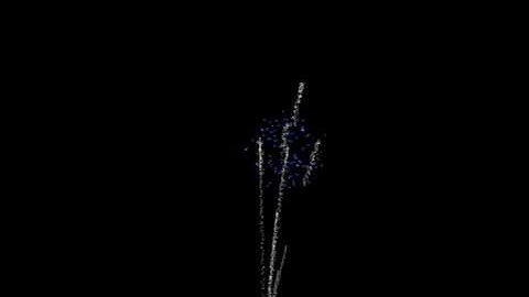 LightWave Particle Effects- Firework Display