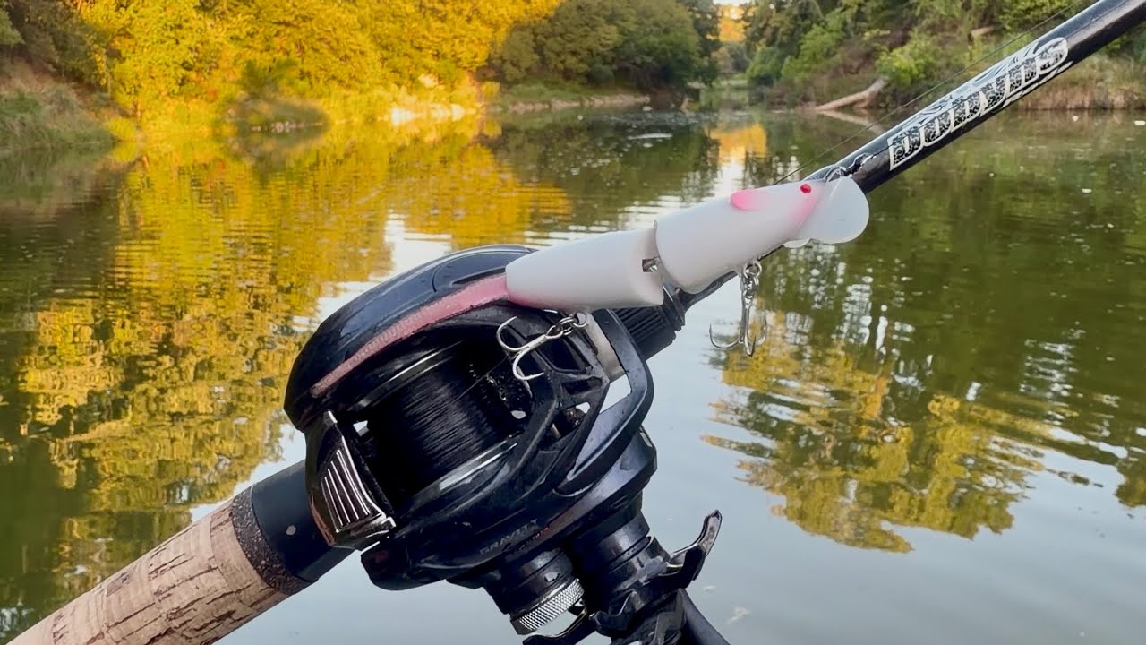 TINY TOPWATER RAT WITH BIG ACTION! |Fort Worth BFS|