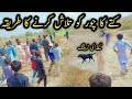 Dog ki aik training __ dog ka Chor Ko Talash Karny Ka Tarika