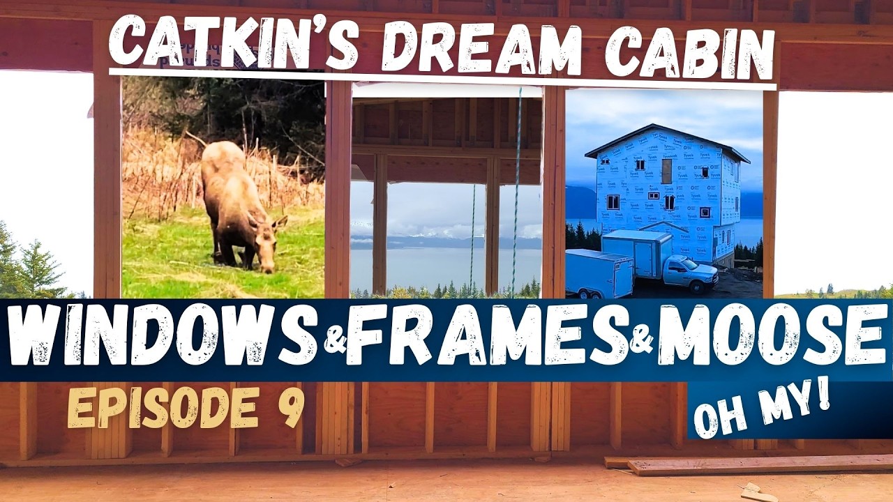 Catkin's Dream Cabin Episode 9 | Windows & Framing