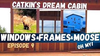 Famous Catkin's Dream Cabin Episode 9 | Windows & Framing Wealth