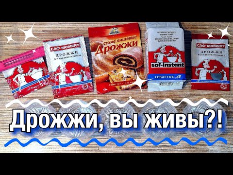 Как проверить сухие дрожжи на активность 🤗 / Есть ли вечные дрожжи?! 😃