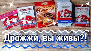 Как проверить сухие дрожжи на активность 🤗 / Есть ли вечные дрожжи?! 😃