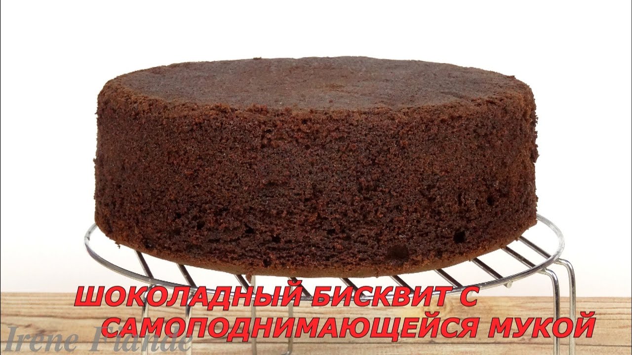 как приготовить шоколадно масляный бисквит как приготовить шоколадно масляный бисквит